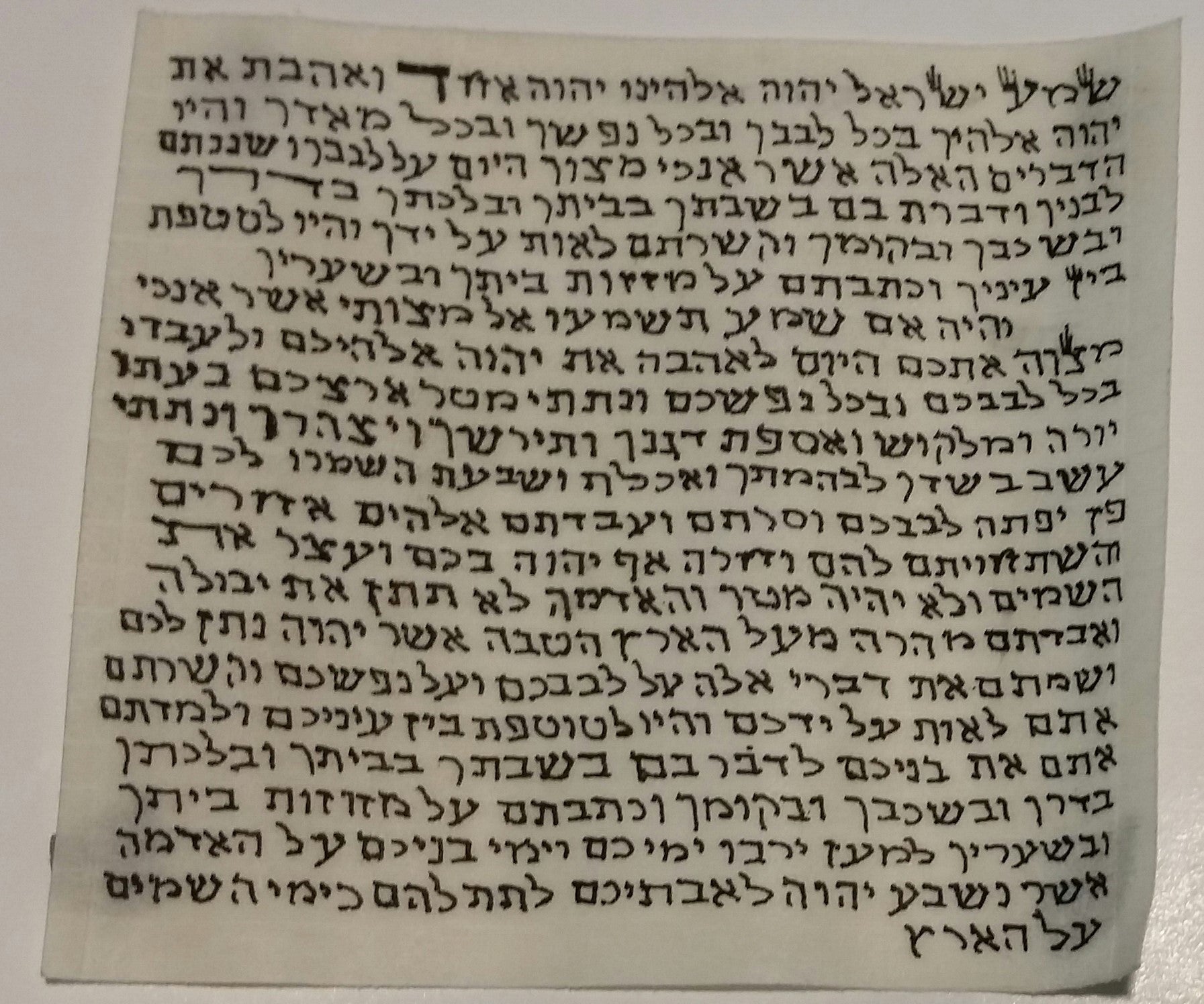 Kosher Mezuzah Scroll - Klaf - Scroll For Mezuzah Case